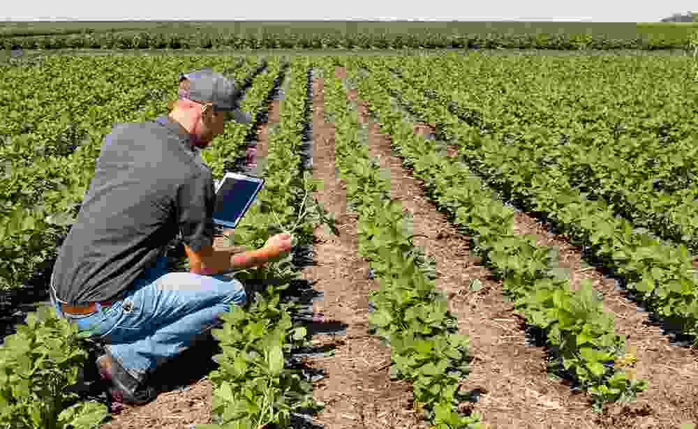 Casa de Spices